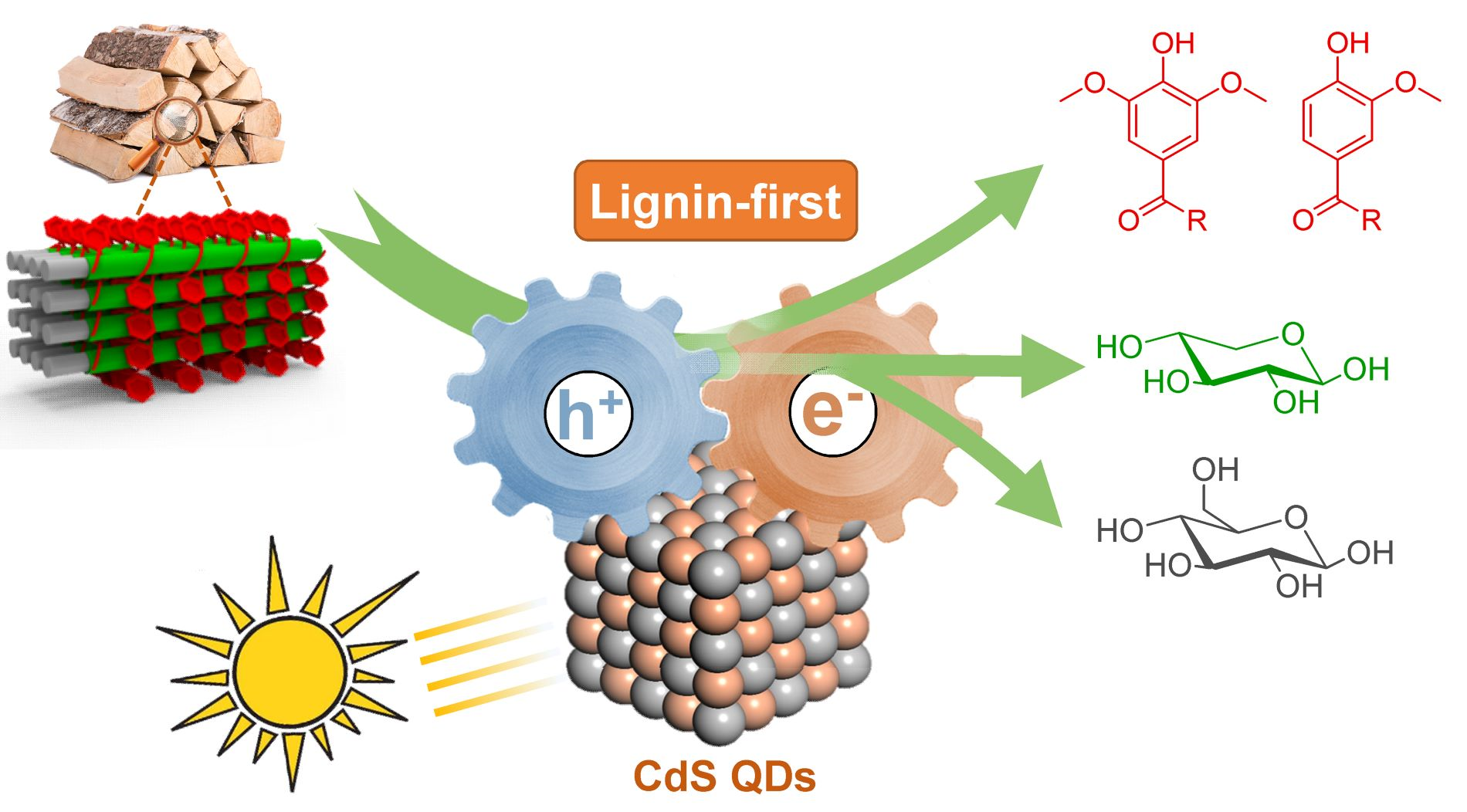 1538961565808070.png 1538961565808070.png