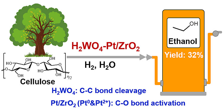 1554879668445092.jpg TOC.jpg