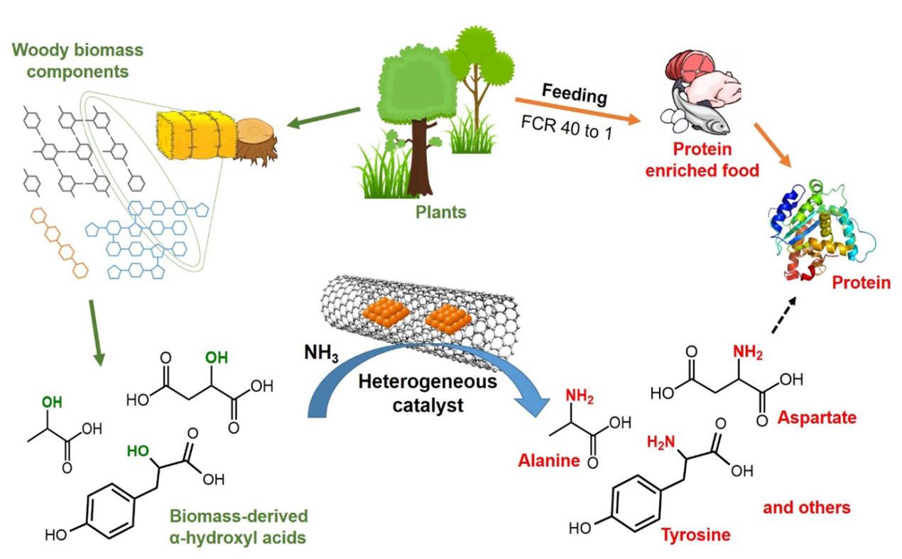 1525351771438036.jpg Figures.jpg