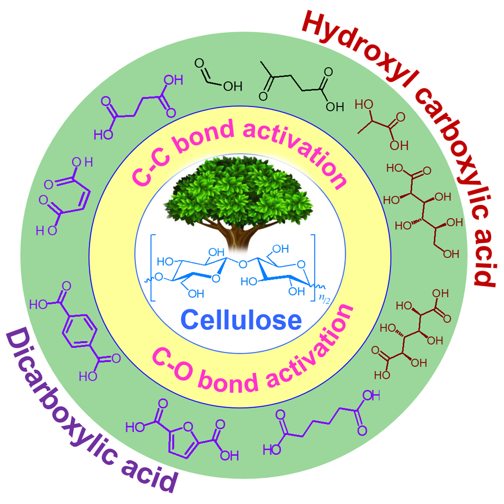 1525853788197265.jpg TOC.jpg