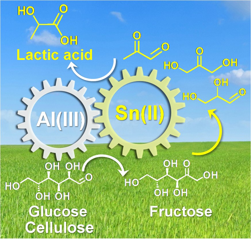 1516364873238276.jpg TOC.jpg